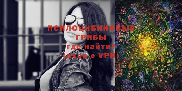 молекула духа Верея