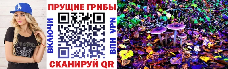 Псилоцибиновые грибы Psilocybe закладка Елабуга